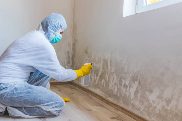 Best Mold Removal Process  in Kraemer, LA