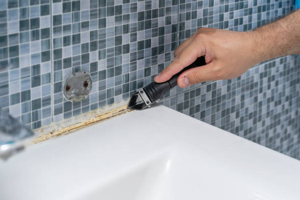Best Mold Removal Near Me  in Kraemer, LA