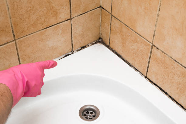 Best Toxic Mold Removal  in Kraemer, LA